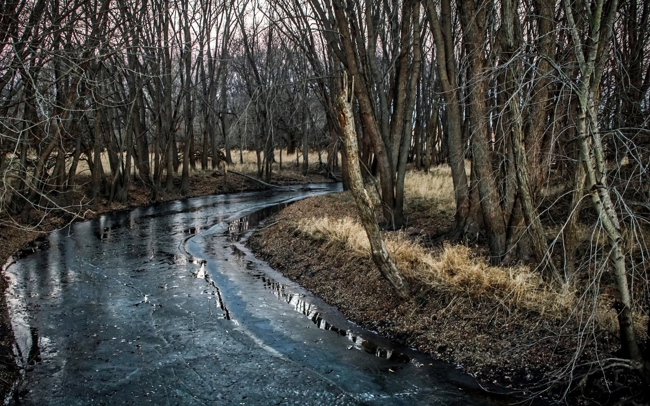 Обои деревья, река, природа, trees, river, nature разрешение 3840x2160 Загрузить