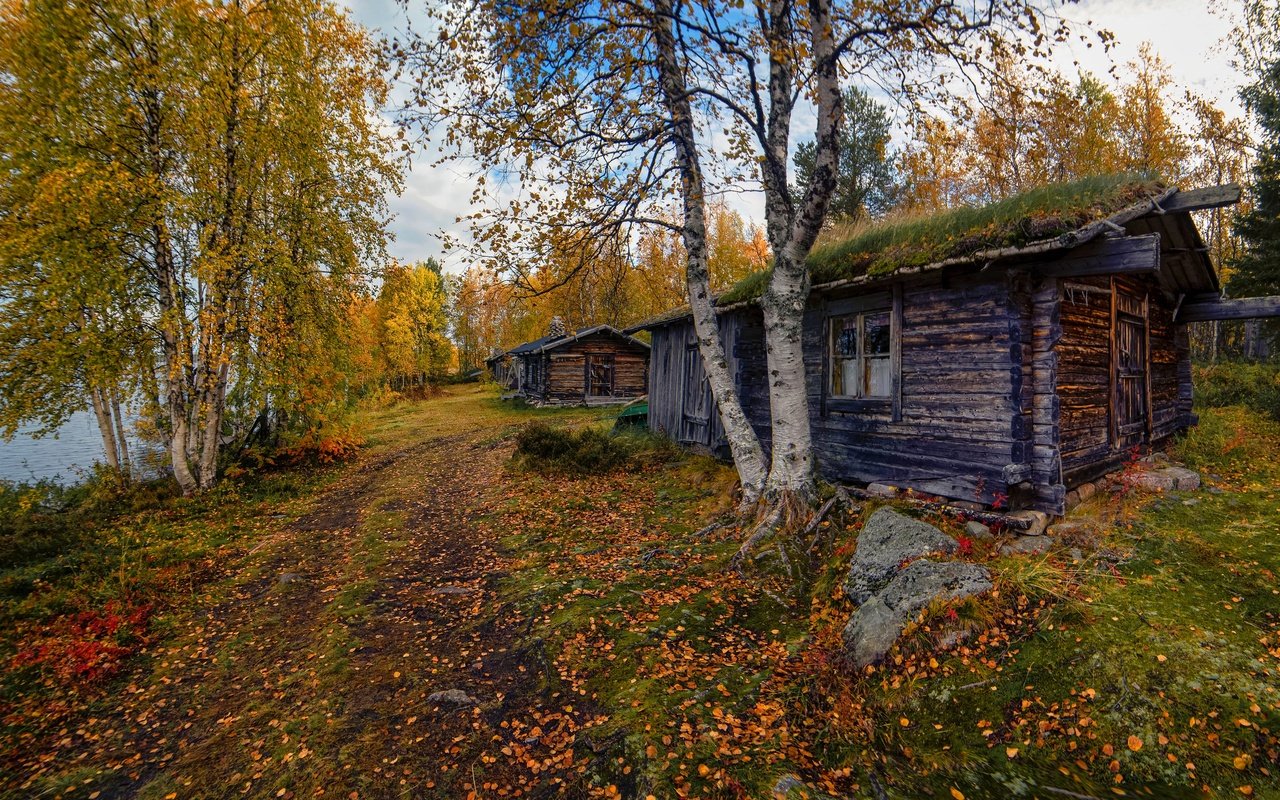 Обои дорога, дом, деревья, домик, окно, берег, листопад, лес, березы, листва, осень, водоем, road, house, trees, window, shore, falling leaves, forest, birch, foliage, autumn, pond разрешение 3072x1728 Загрузить