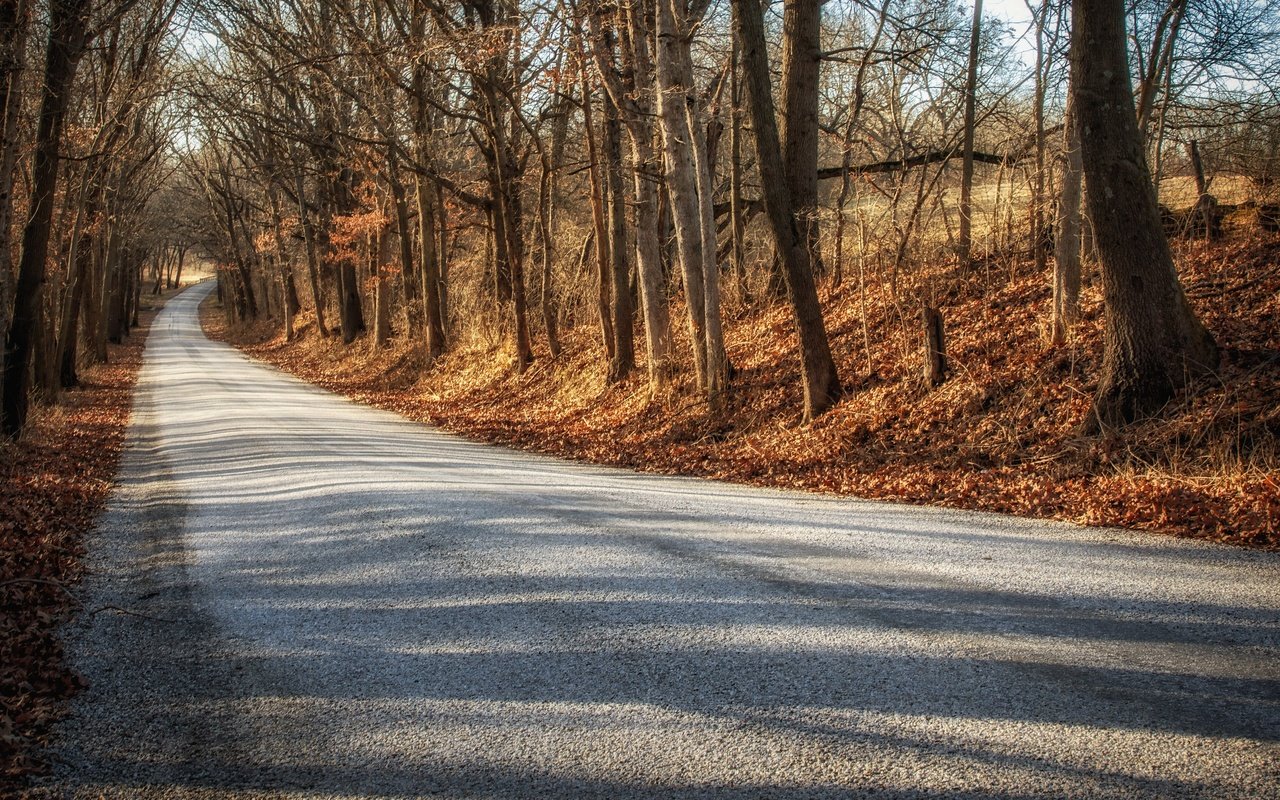 Обои дорога, деревья, осень, road, trees, autumn разрешение 3840x2160 Загрузить