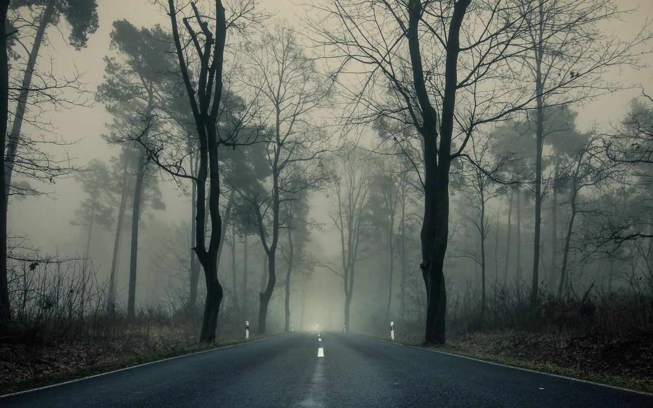 Обои дорога, деревья, парк, туман, ветки, осень, пасмурно, шоссе, road, trees, park, fog, branches, autumn, overcast, highway разрешение 3840x2160 Загрузить