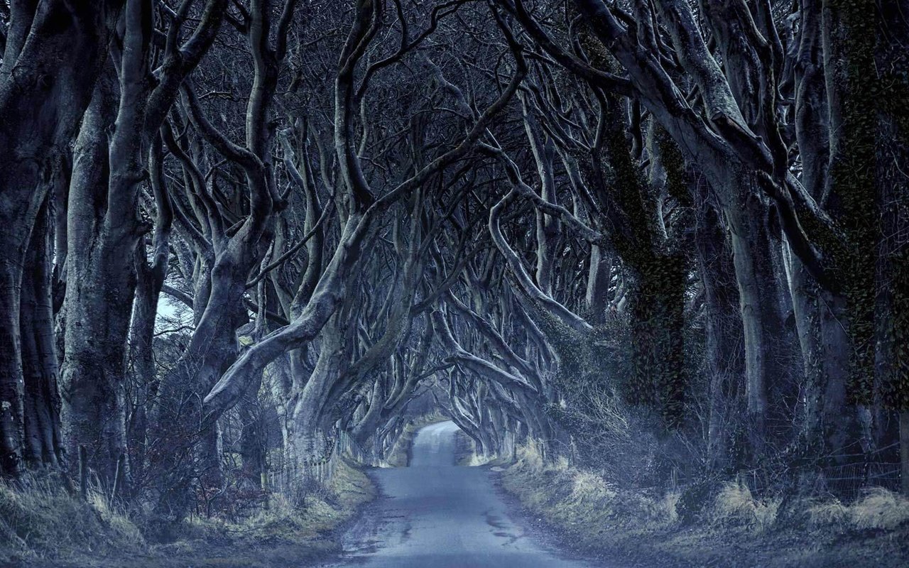 Обои дорога, деревья, тоннель, северная ирландия, road, trees, the tunnel, northern ireland разрешение 1920x1080 Загрузить