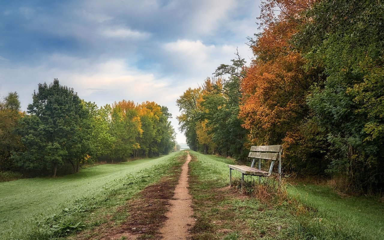 Обои дорога, осень, скамья, road, autumn, bench разрешение 2048x1365 Загрузить