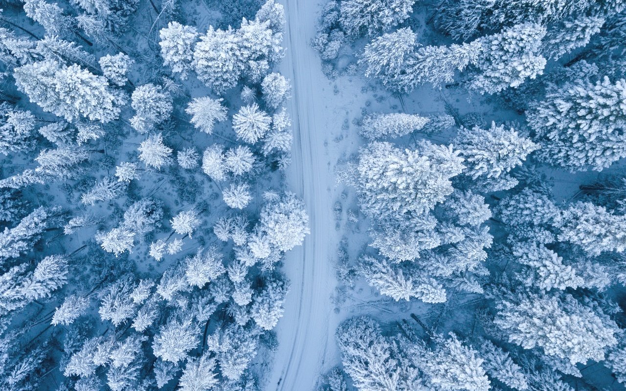 Обои дорога, снег, лес, зима, ели, заснеженный, road, snow, forest, winter, ate, snowy разрешение 3200x1800 Загрузить