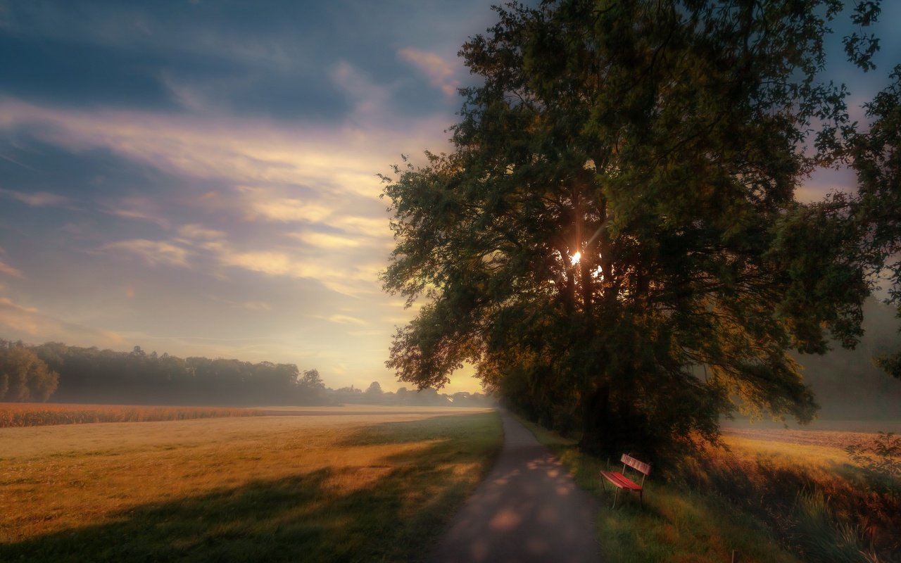 Обои дорога, утро, туман, скамья, road, morning, fog, bench разрешение 3840x2160 Загрузить