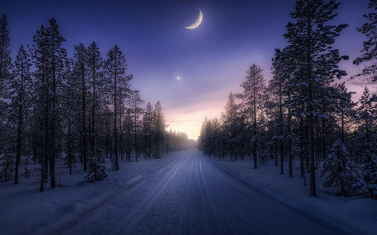 Обои небо, дорога, деревья, снег, лес, зима, месяц, the sky, road, trees, snow, forest, winter, a month разрешение 2200x1238 Загрузить