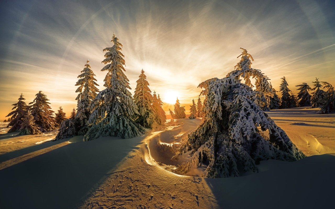 Обои небо, утро, свет, рассвет, солнце, ели, сугробы, снег, тени, природа, лес, зима, лучи, the sky, morning, light, dawn, ate, the sun, the snow, snow, shadows, nature, forest, winter, rays разрешение 2000x1334 Загрузить