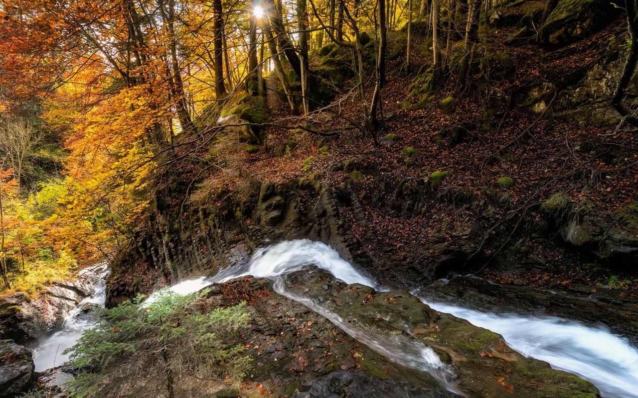 Обои река, лес, осень, river, forest, autumn разрешение 3840x2160 Загрузить