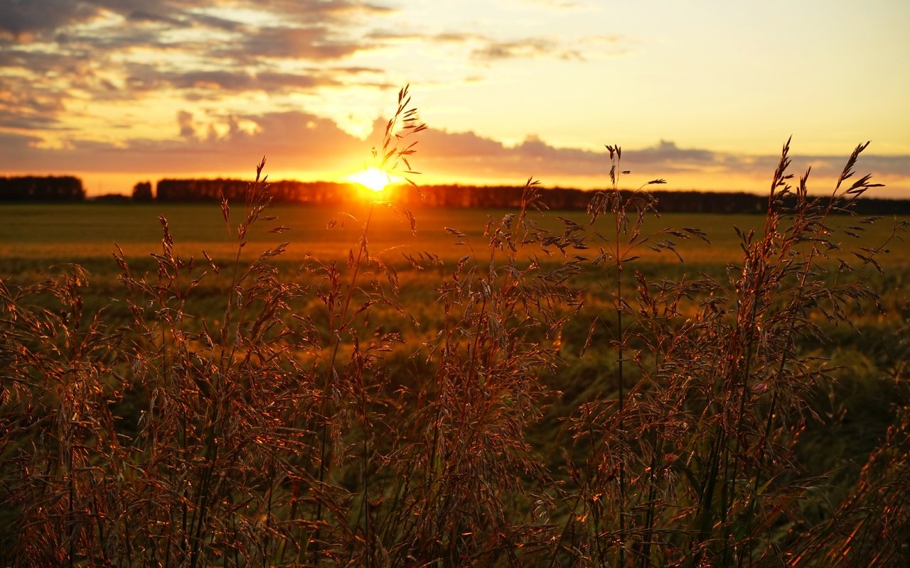 Обои закат, sunset разрешение 6000x4000 Загрузить