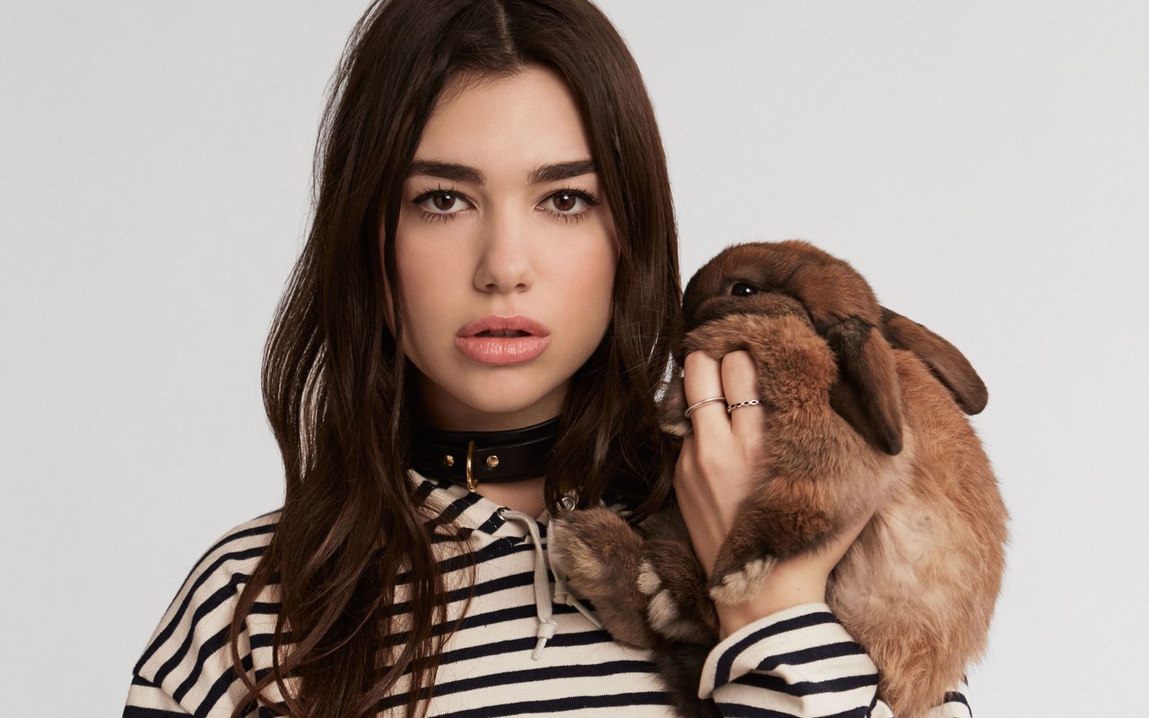 Обои кролик, певица, дуа липа, rabbit, singer, dua lipa разрешение 3714x2872 Загрузить