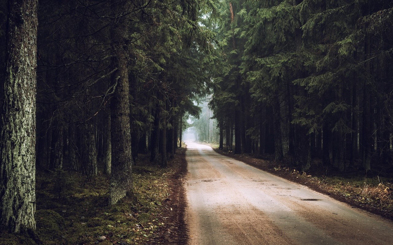 Обои дорога, лес, осень, road, forest, autumn разрешение 3840x2160 Загрузить