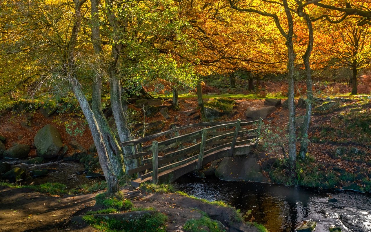 Обои деревья, природа, камни, мостик, лес, пейзаж, осень, речка, trees, nature, stones, the bridge, forest, landscape, autumn, river разрешение 2850x1862 Загрузить