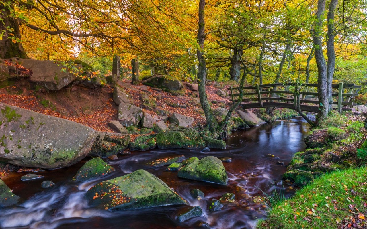 Обои деревья, речка, природа, камни, мостик, лес, пейзаж, парк, осень, trees, river, nature, stones, the bridge, forest, landscape, park, autumn разрешение 2850x1771 Загрузить