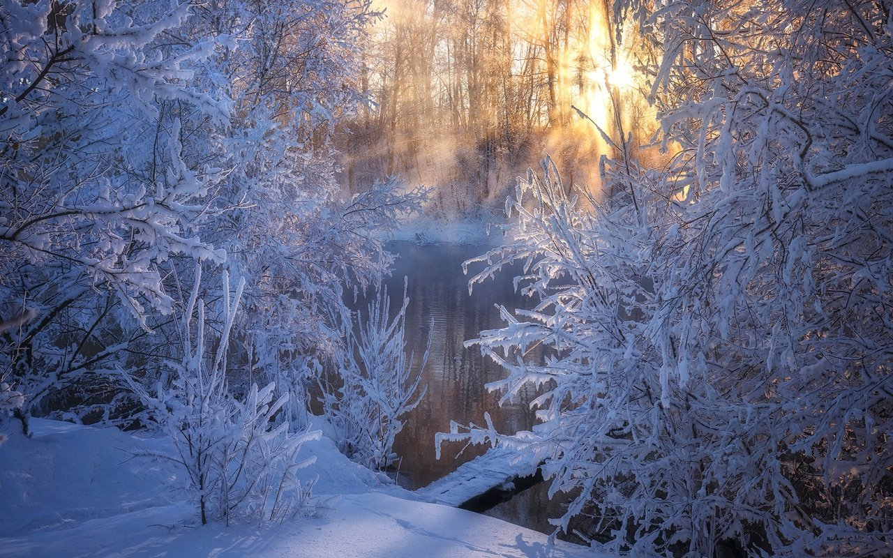 Обои деревья, стужа, река, снег, зима, утро, мороз, россия, алтай, trees, river, snow, winter, morning, frost, russia, altay разрешение 1920x1280 Загрузить