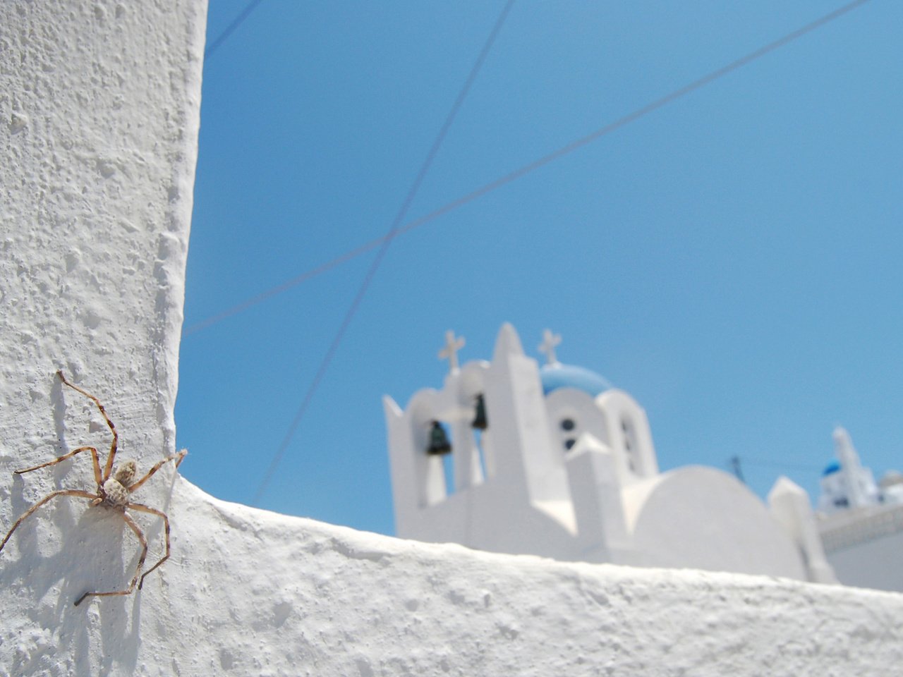 Обои небо, синий, белый, церковь, паук, санторини, the sky, blue, white, church, spider, santorini разрешение 2560x1600 Загрузить