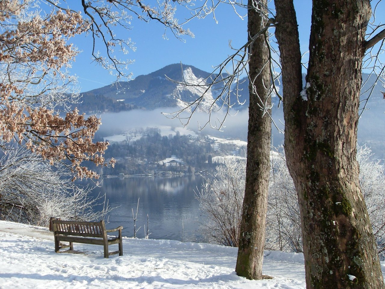 Обои деревья, река, зима, скамейка, trees, river, winter, bench разрешение 2048x1536 Загрузить