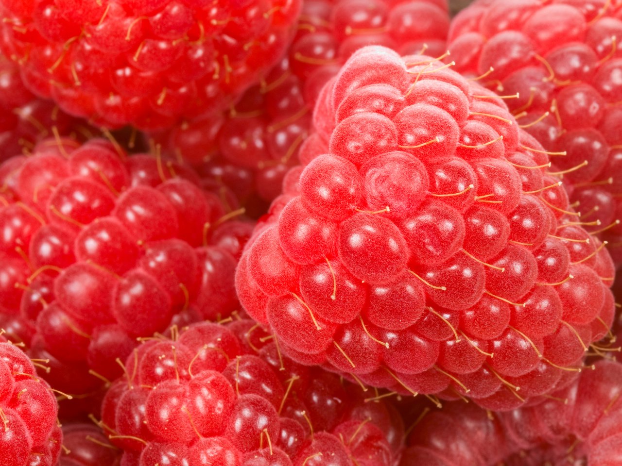 Обои макро, малина, качество, ягоды, macro, raspberry, quality, berries разрешение 7404x4828 Загрузить
