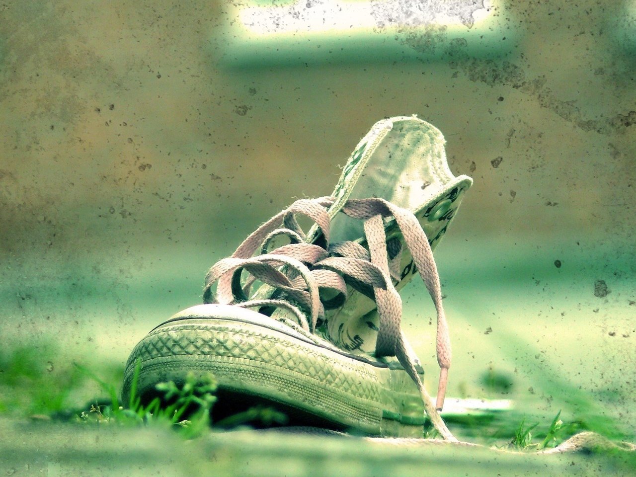 Обои трава, зелёный, кеды, пятна, обувь, шнурки, grass, green, sneakers, spot, shoes, laces разрешение 1920x1200 Загрузить