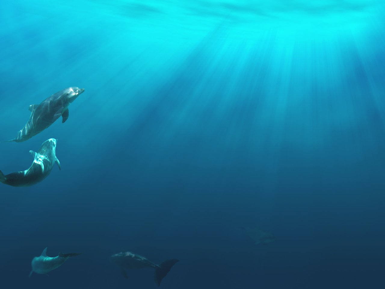 Обои свет, дельфины, подводная, light, dolphins, underwater разрешение 1920x1200 Загрузить