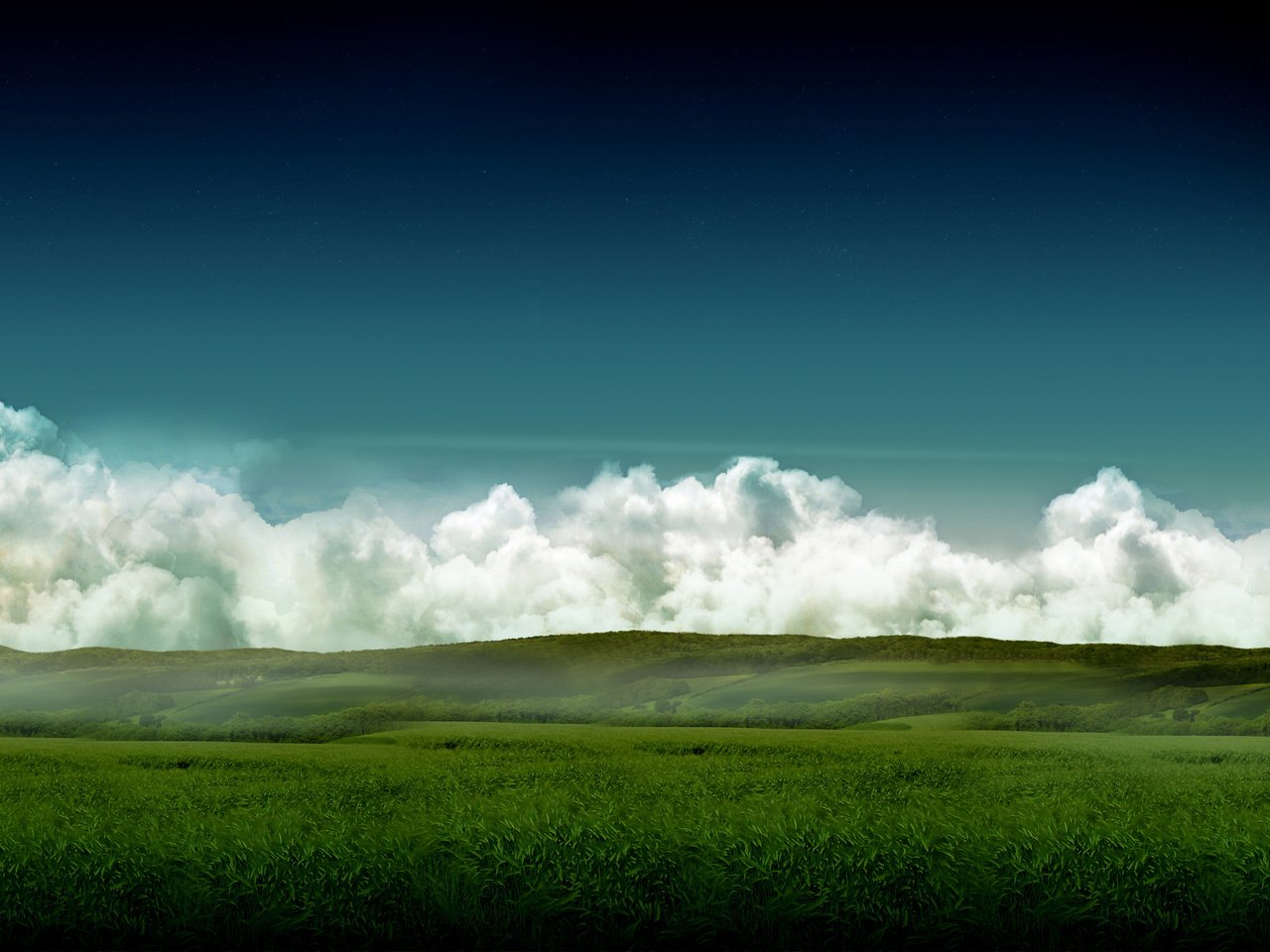 Обои небо, трава, поле, небеса, the sky, grass, field, heaven разрешение 2560x1600 Загрузить