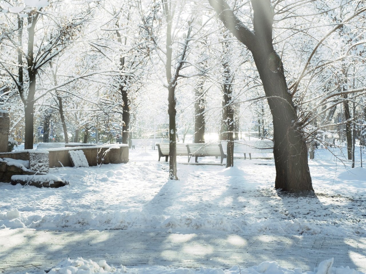 Обои солнце, снег, зима, лучи, парк, скамейки, snow trees, дервья, the sun, snow, winter, rays, park, benches, dervla разрешение 5824x4080 Загрузить