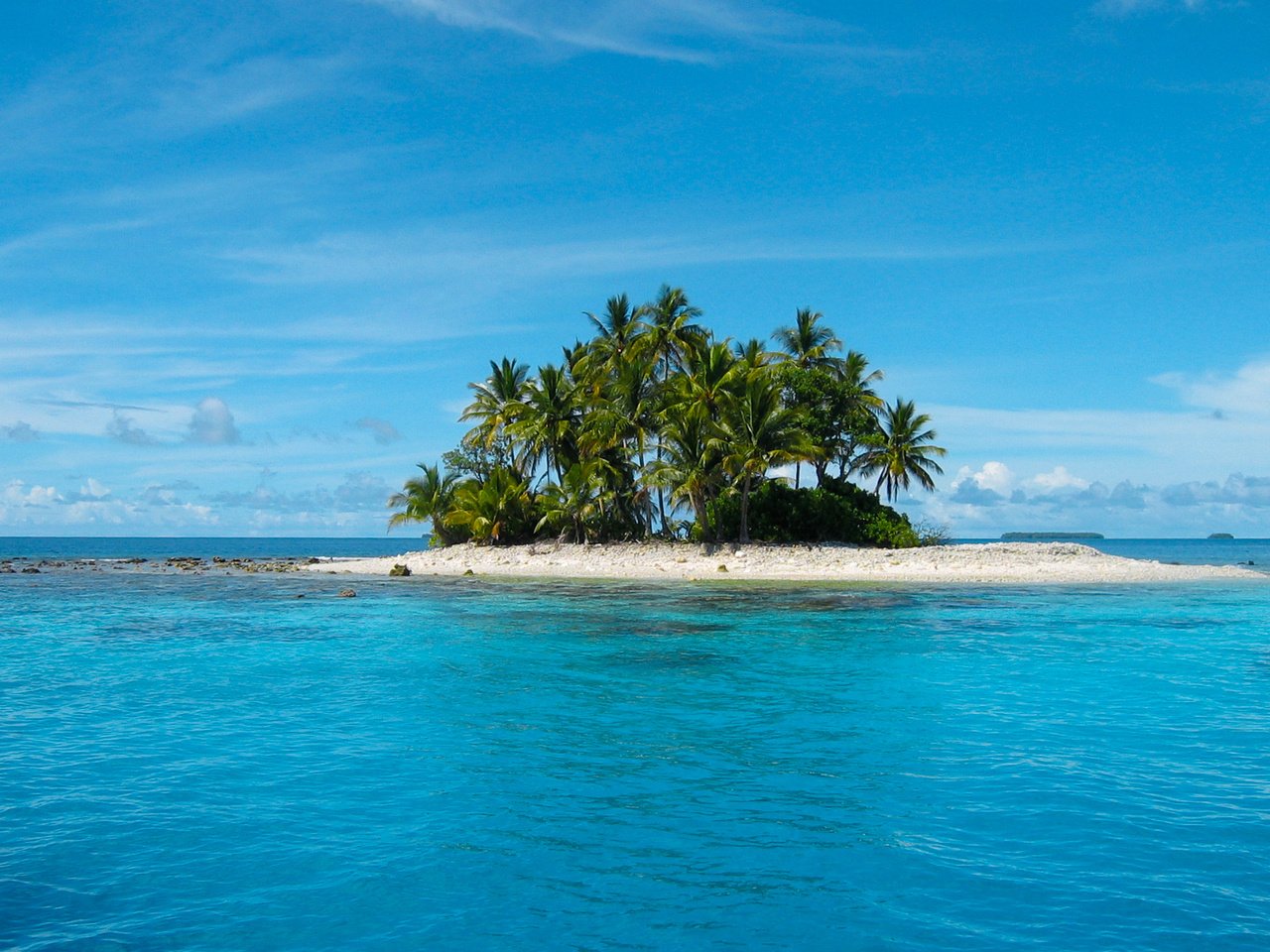 Обои море, пляж, пальмы, остров, тропики, sea, beach, palm trees, island, tropics разрешение 1920x1200 Загрузить