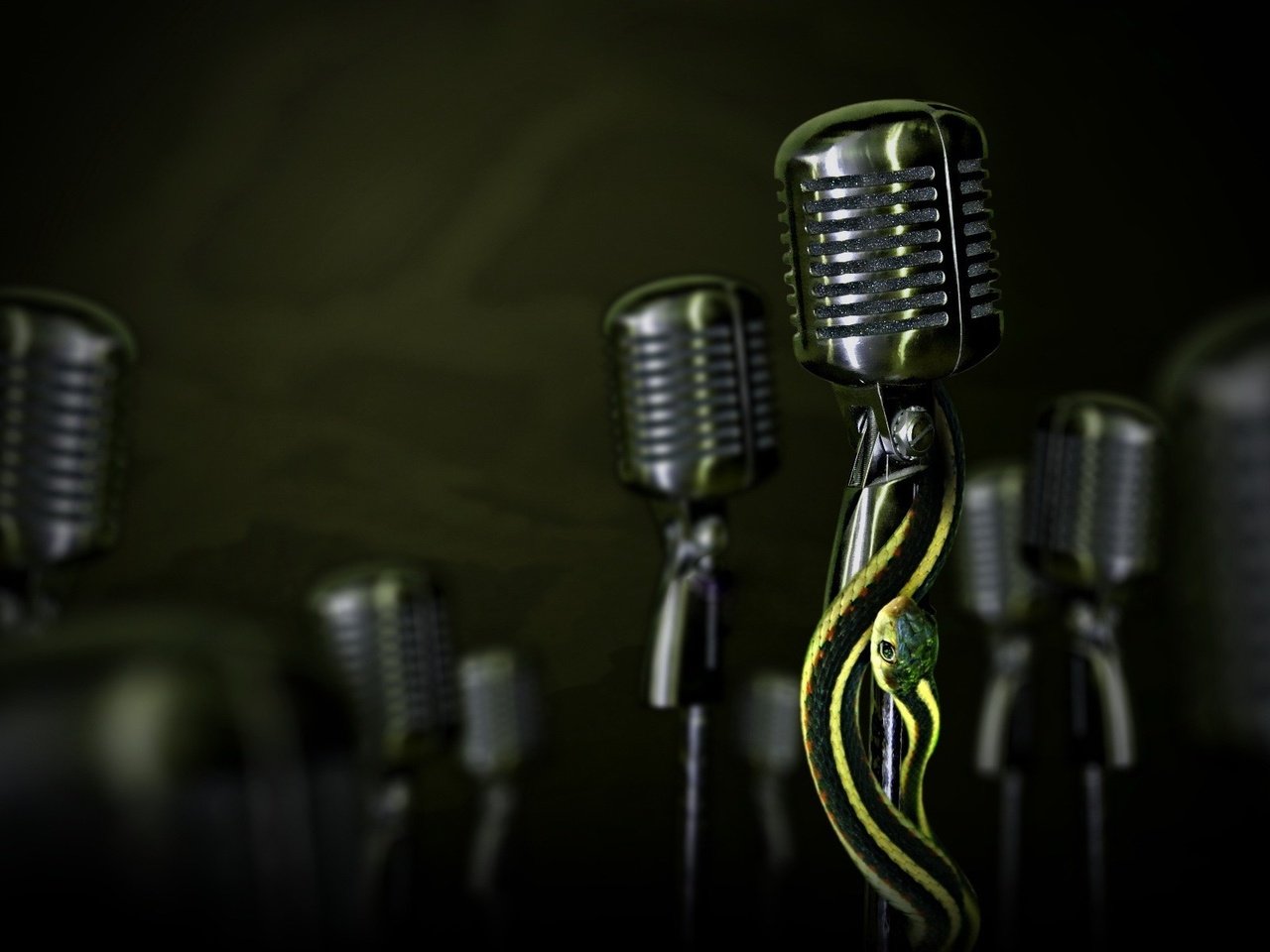 Обои микрофон, змея, microphone, snake разрешение 1920x1200 Загрузить