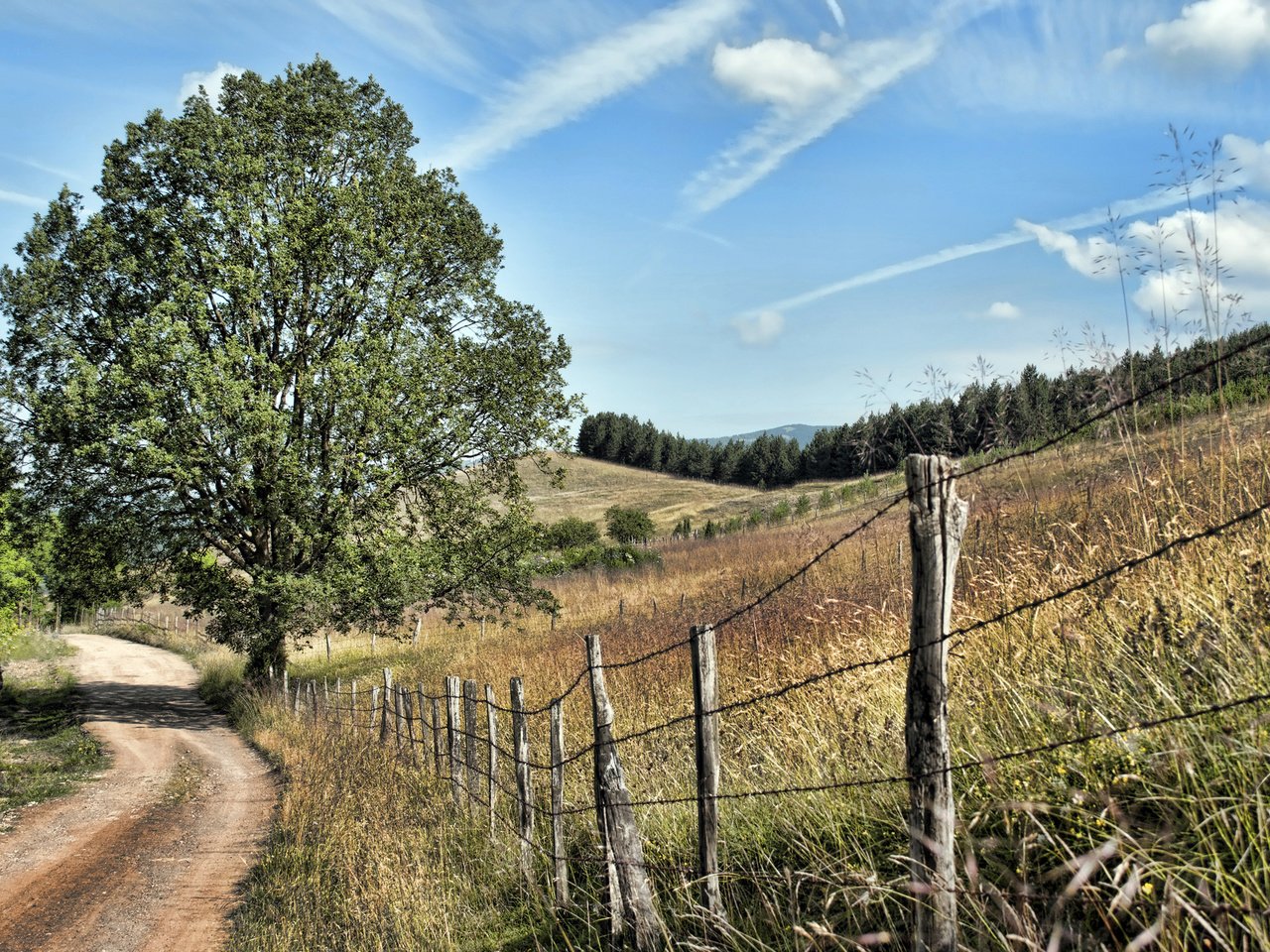 Обои down the road, сербия, mionica, serbia разрешение 2560x1600 Загрузить