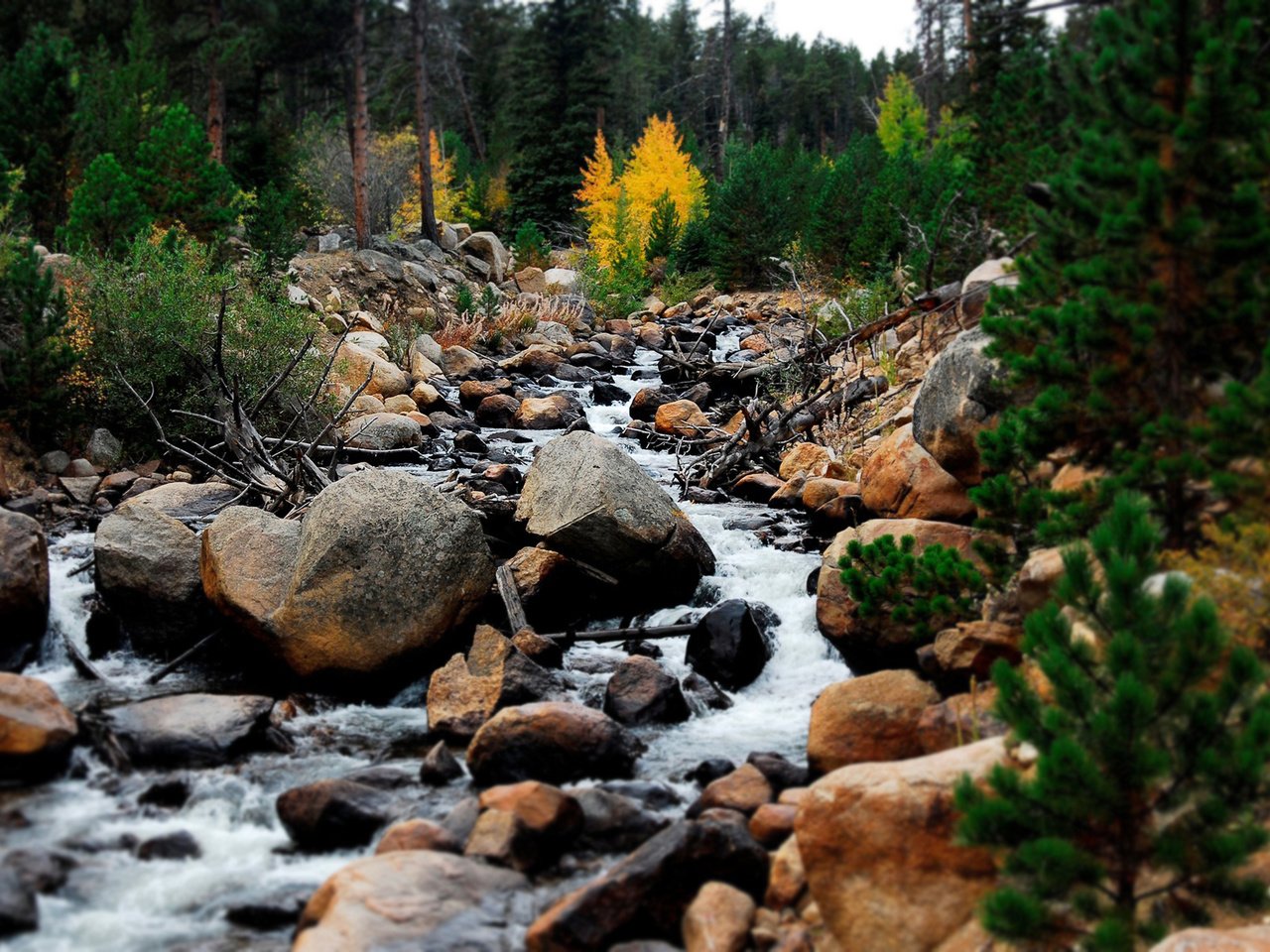 Обои небо, поток, деревья, вода, горы, природа, камни, пейзаж, ручей, the sky, trees, water, mountains, nature, stones, landscape, stream разрешение 1920x1200 Загрузить