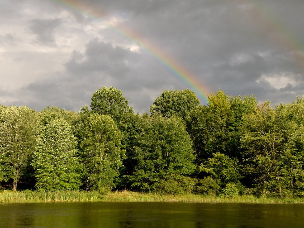 Обои деревья, вода, река, зелень, лес, радуга, trees, water, river, greens, forest, rainbow разрешение 1920x1200 Загрузить