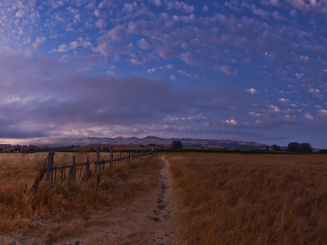 Обои небо, вечер, поле, the sky, the evening, field разрешение 3200x1200 Загрузить