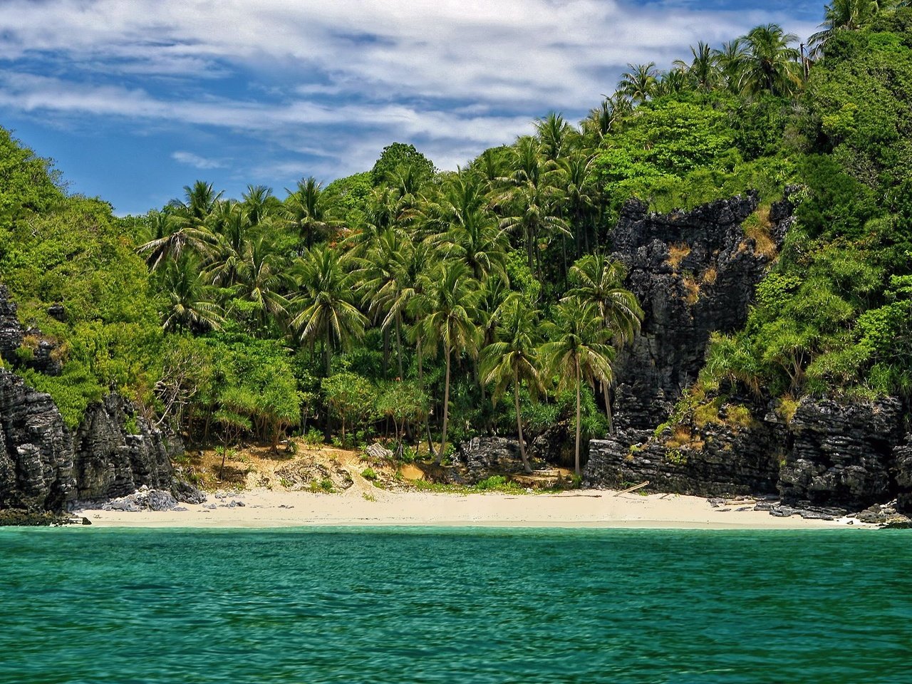 Обои пляж, пальмы, в укромном месте, beach, palm trees, in a secluded place разрешение 1920x1200 Загрузить