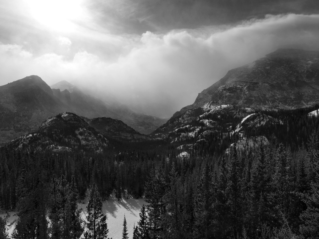 Обои горы, лес, черно-белая, mountains, forest, black and white разрешение 2560x1656 Загрузить