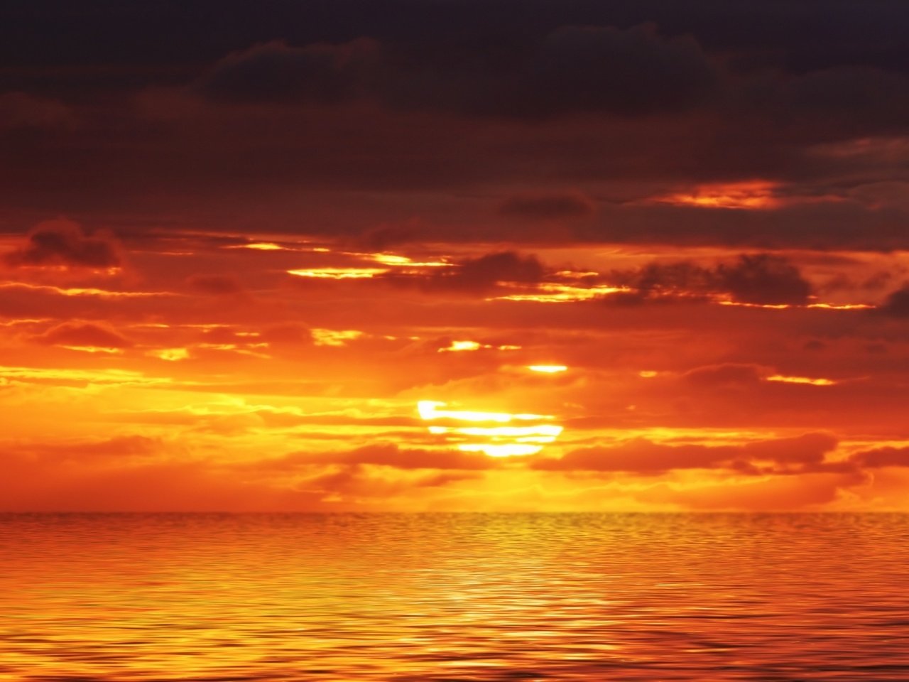 Обои закат, море, горизонт, sunset, sea, horizon разрешение 1920x1080 Загрузить