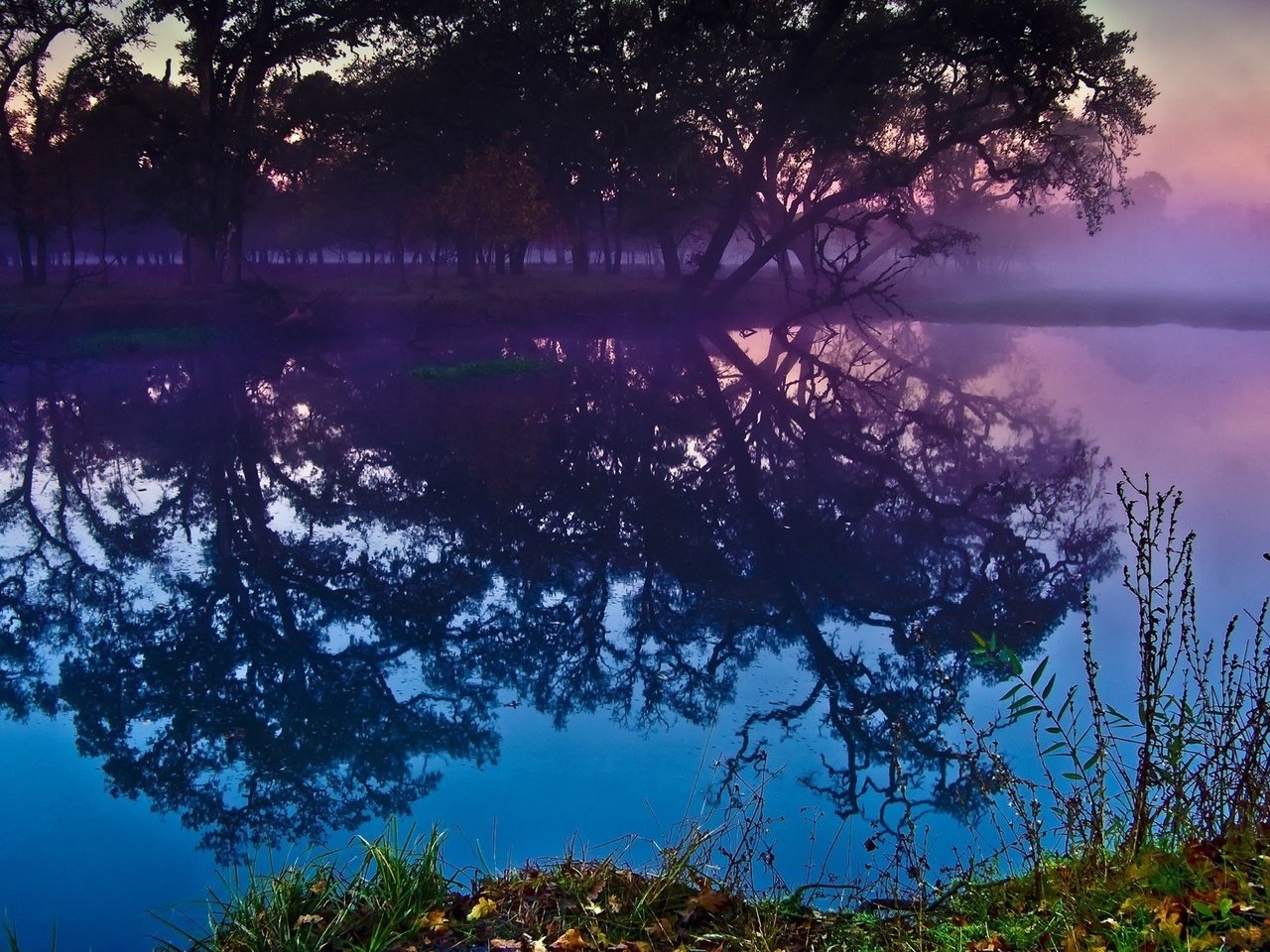 Обои деревья, река, лес, закат, отражение, trees, river, forest, sunset, reflection разрешение 1920x1200 Загрузить