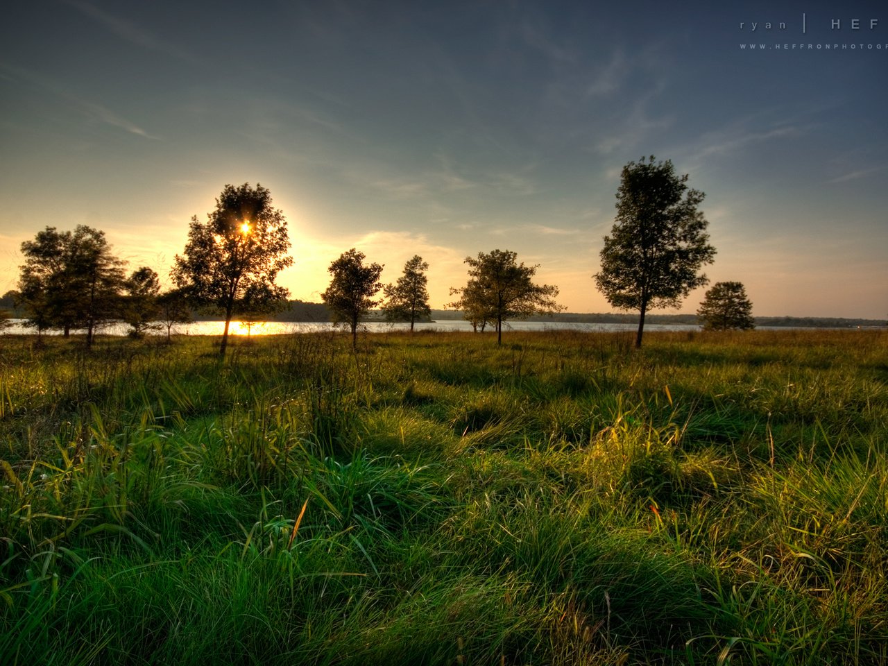 Обои трава, река, солнце, дерево, закат, grass, river, the sun, tree, sunset разрешение 1920x1200 Загрузить