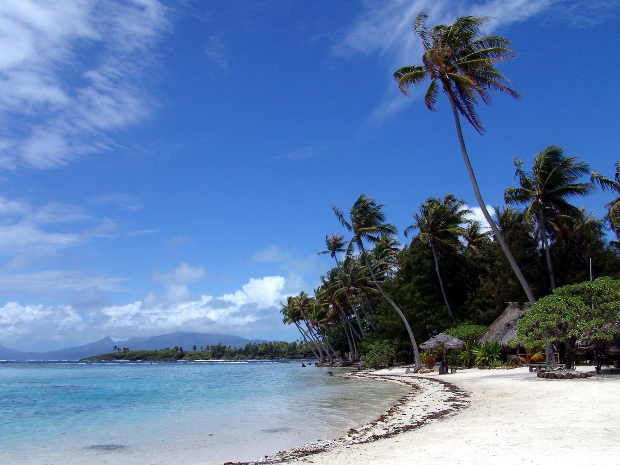 Обои песок, пляж, пальмы, sand, beach, palm trees разрешение 2560x1600 Загрузить