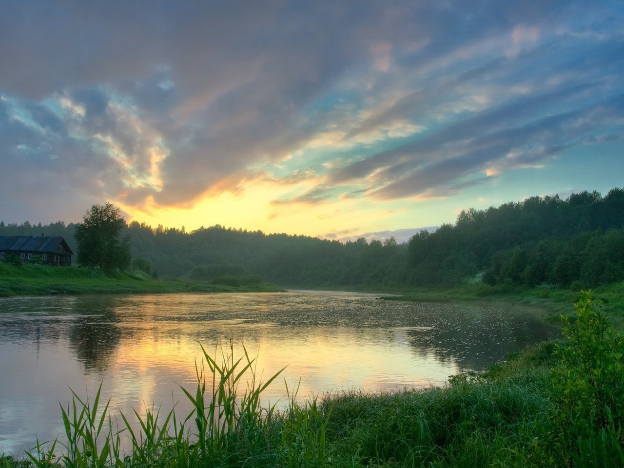 Обои трава, озеро, лес, отражение, grass, lake, forest, reflection разрешение 1920x1080 Загрузить