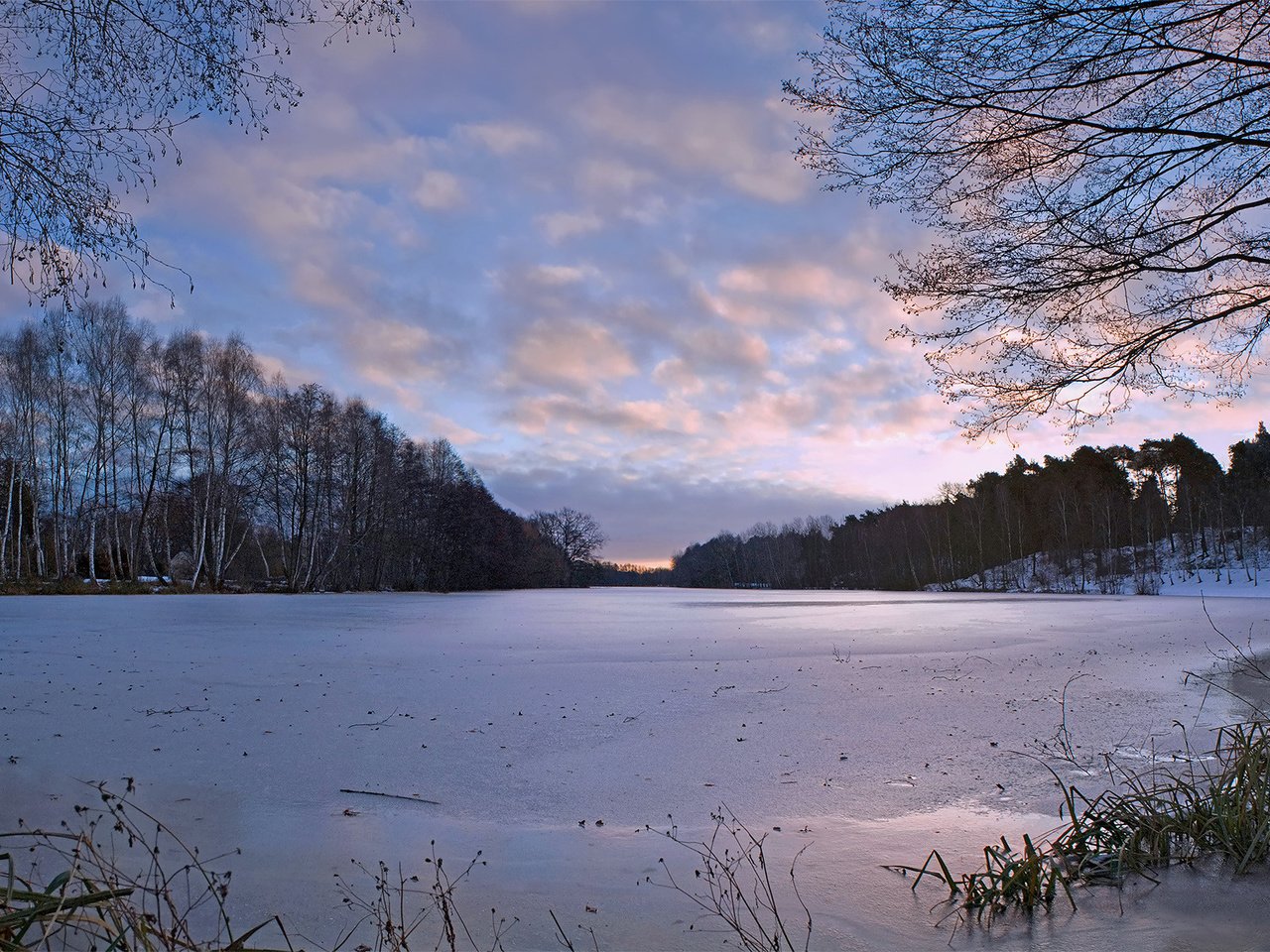 Обои деревья, река, природа, зима, наледь, trees, river, nature, winter, frost разрешение 1920x1200 Загрузить