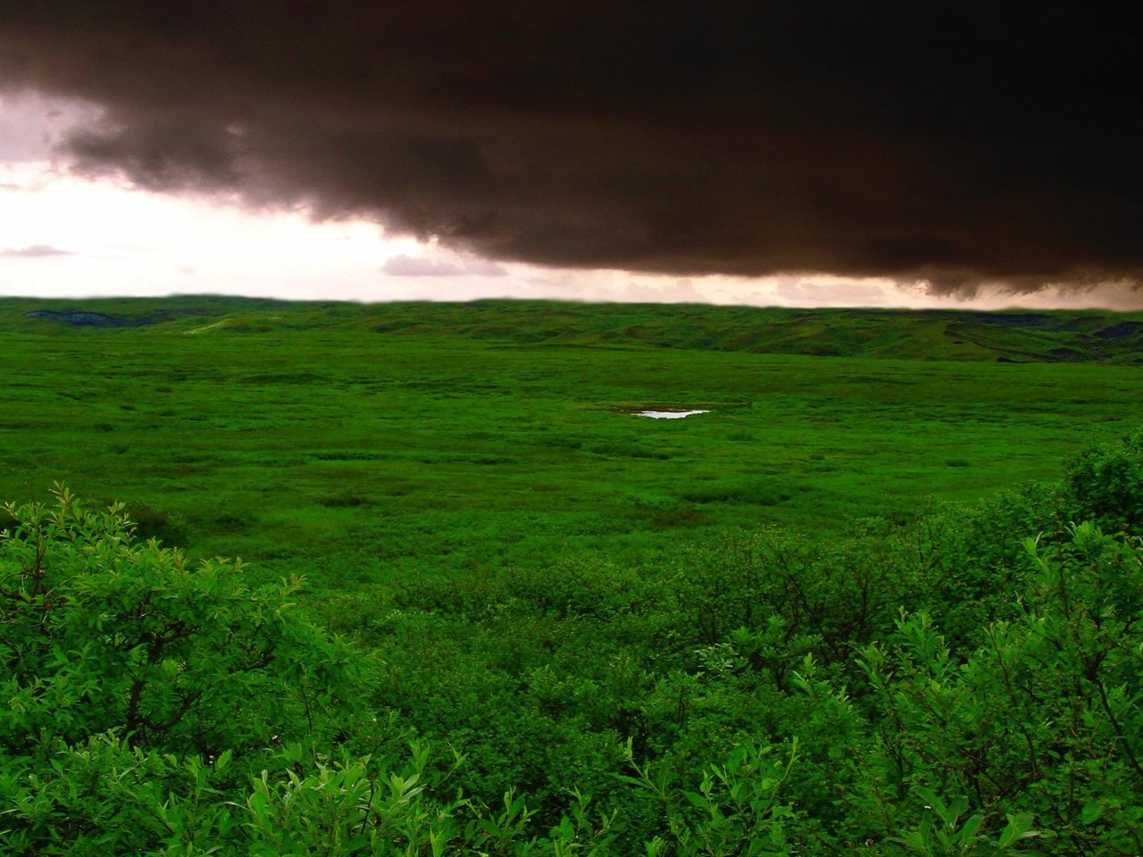 Обои трава, облака, буря, зелёный, поле, grass, clouds, storm, green, field разрешение 2732x1536 Загрузить