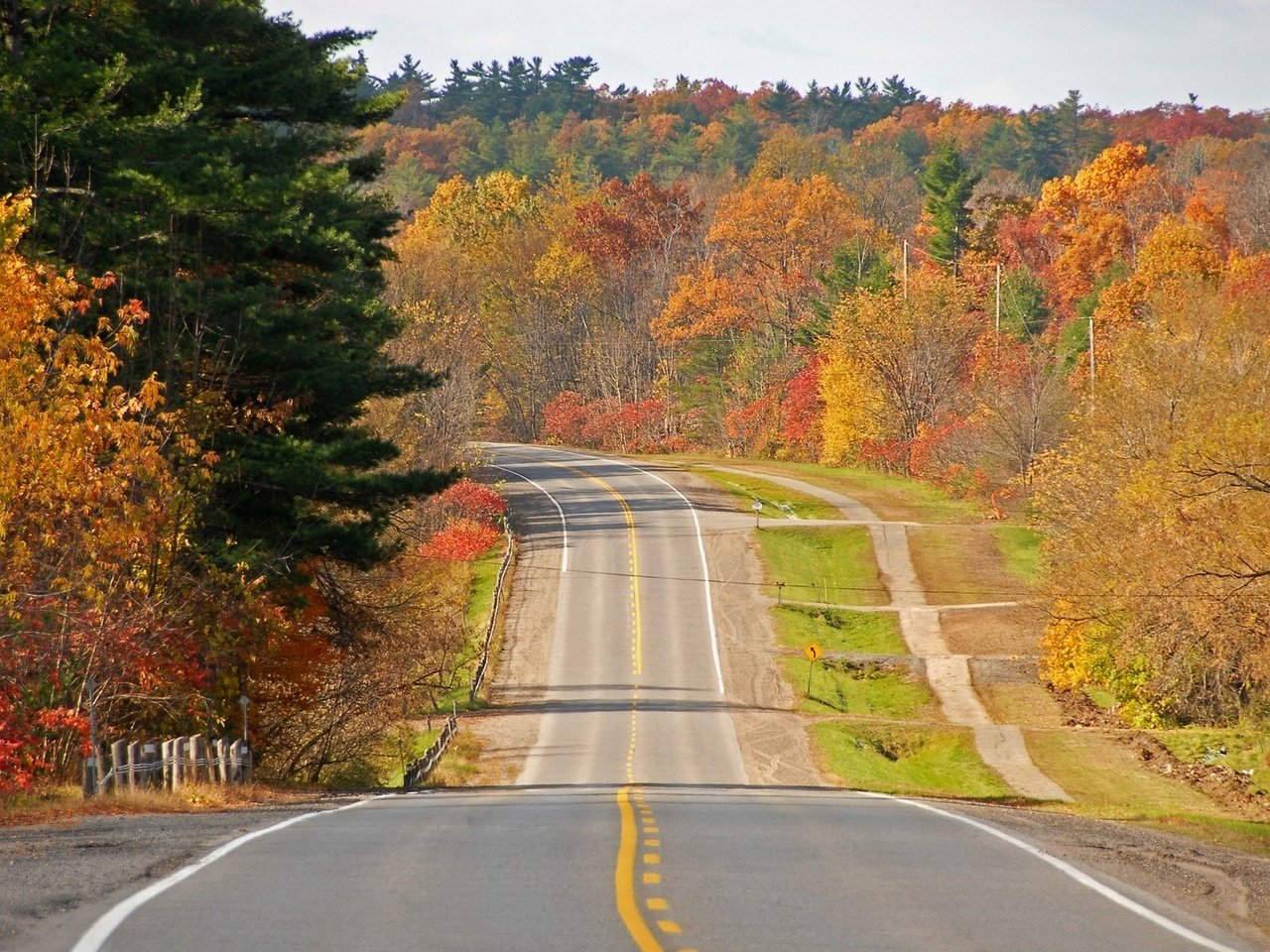 Обои дорога, деревья, осень, road, trees, autumn разрешение 1920x1200 Загрузить