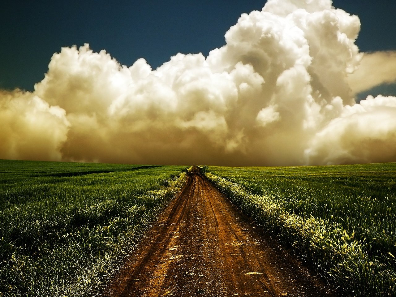 Обои дорога, поле, облако, road, field, cloud разрешение 2560x1600 Загрузить