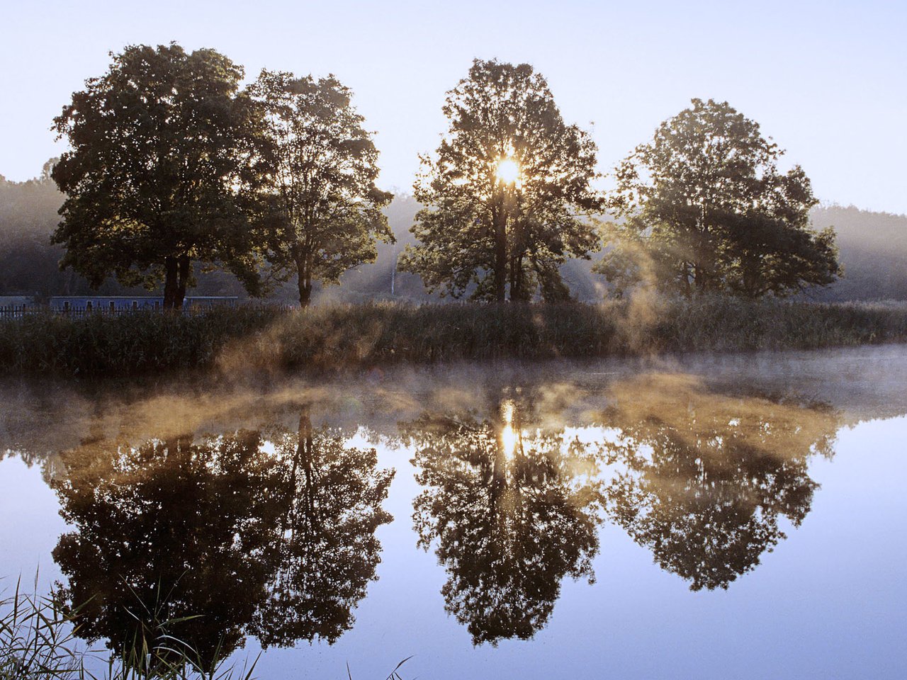 Обои деревья, река, солнце, отражение, луч, польша, trees, river, the sun, reflection, ray, poland разрешение 1920x1200 Загрузить