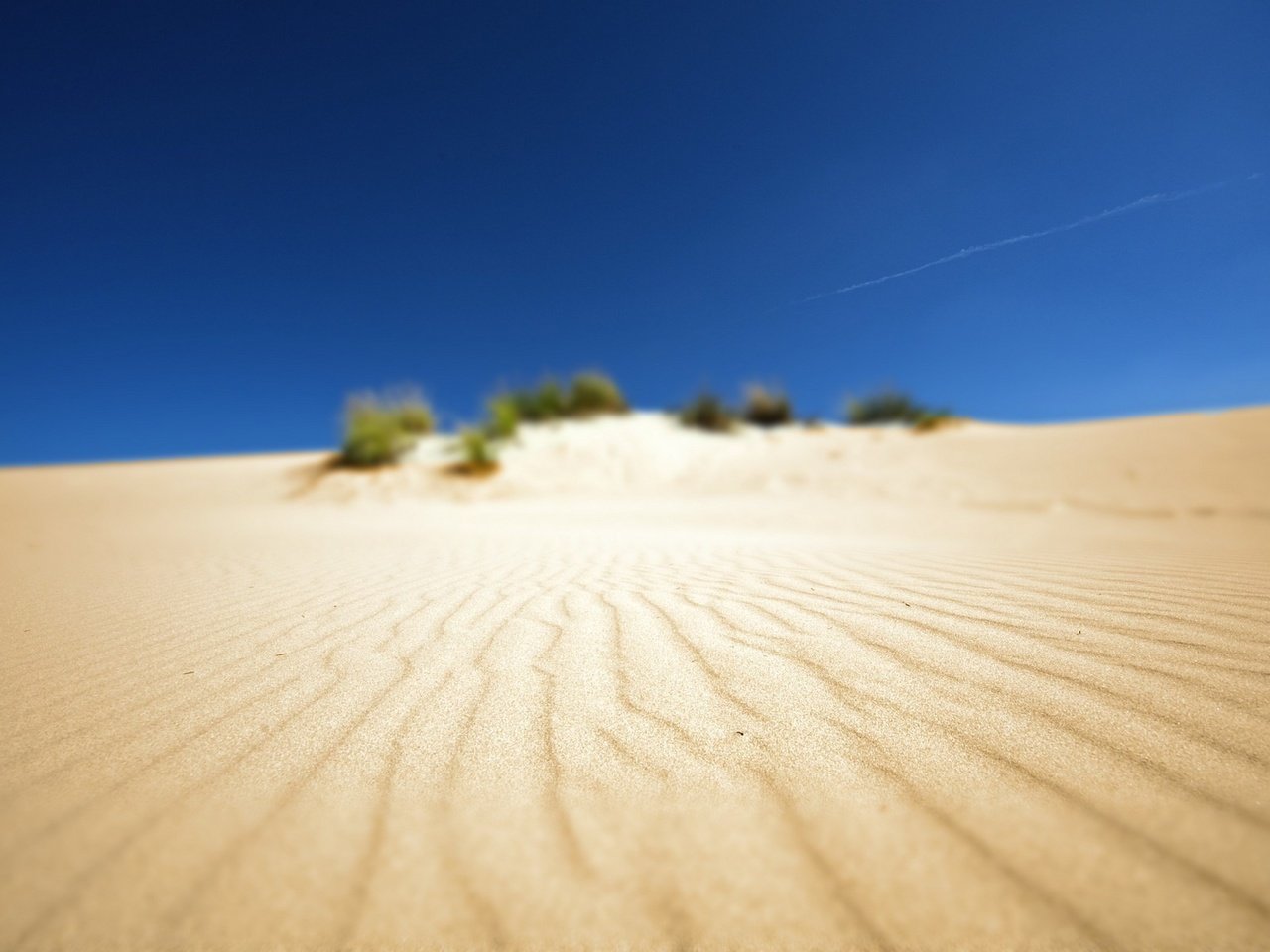 Обои фото, песок, пляж, пустыня, пейзажи, африка, photo, sand, beach, desert, landscapes, africa разрешение 1920x1200 Загрузить