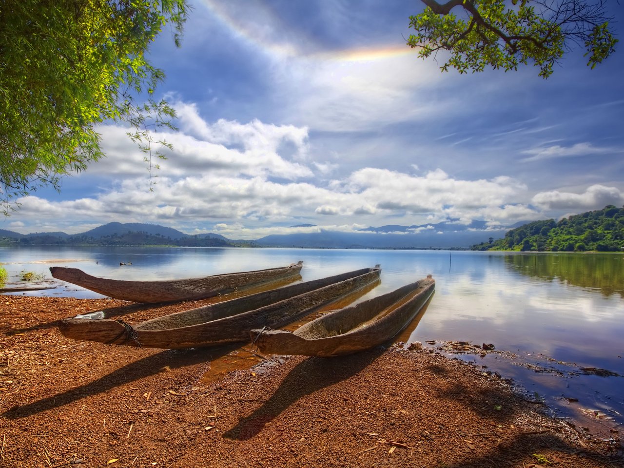 Обои лодки, водоем, три, из, стволов, boats, pond, three, from, trunks разрешение 2560x1600 Загрузить