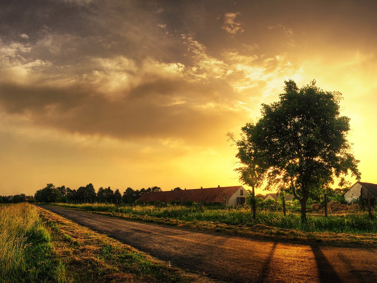 Обои дорога, трава, дерево, road, grass, tree разрешение 1920x1200 Загрузить