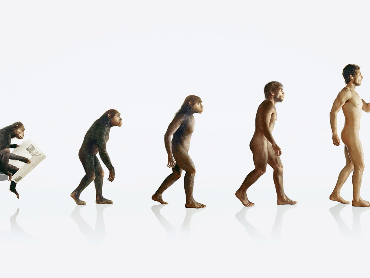 Обои человек, обезьяна, эволюция, people, monkey, evolution разрешение 1920x1200 Загрузить