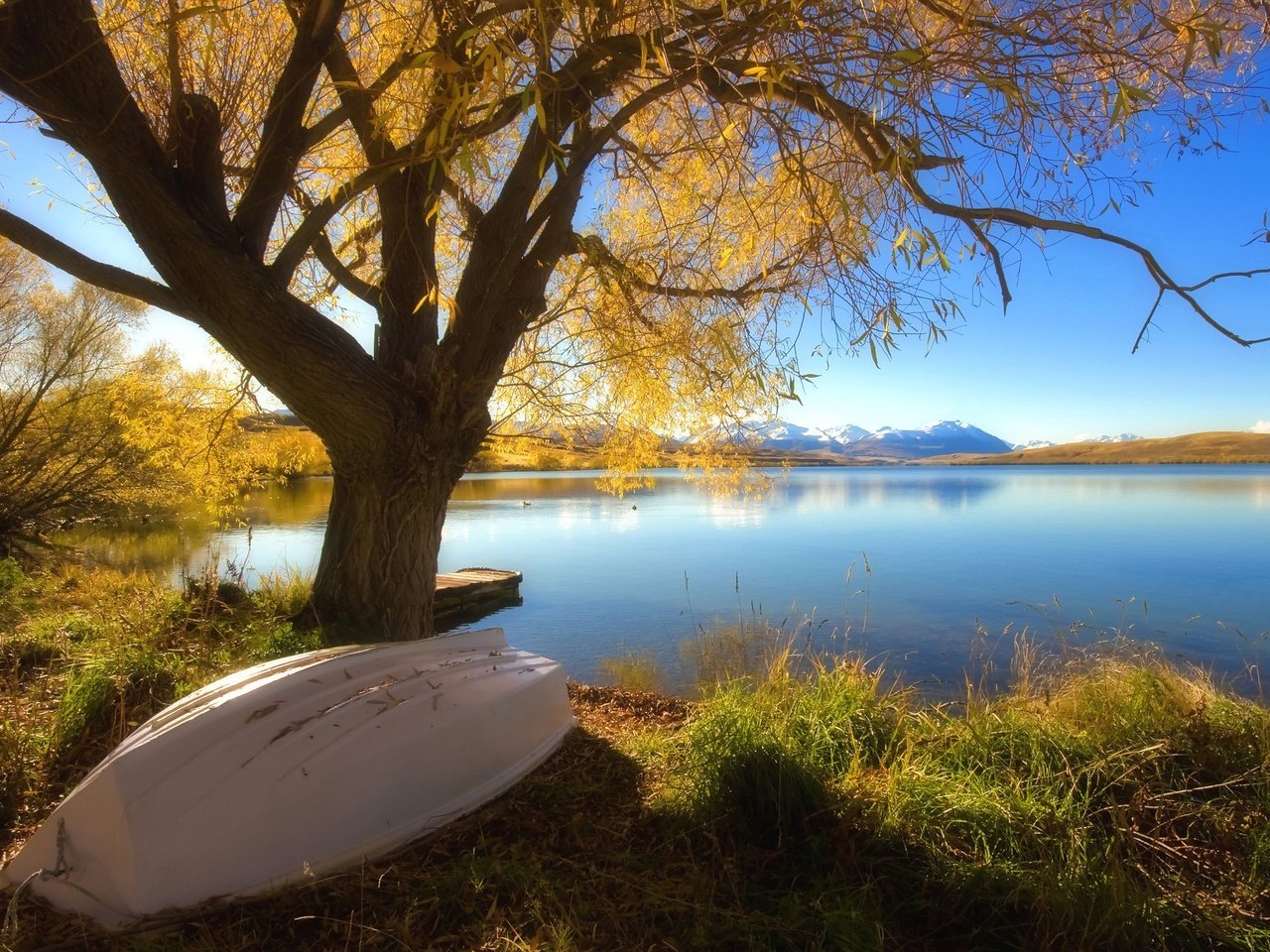 Обои озеро, дерево, осень, лодка, lake, tree, autumn, boat разрешение 2560x1600 Загрузить