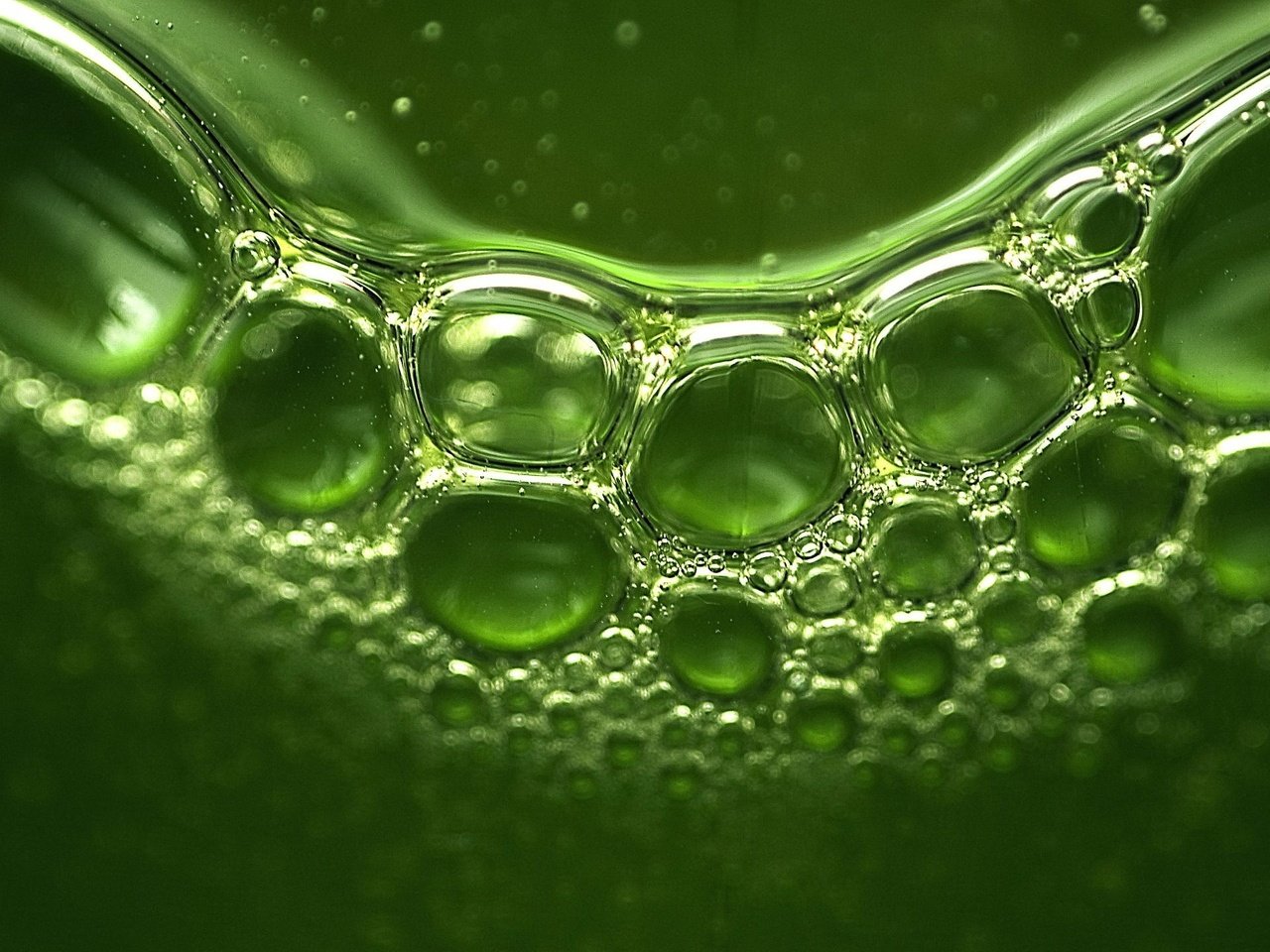 Обои зелень, отражение, пузыри, greens, reflection, bubbles разрешение 1920x1440 Загрузить