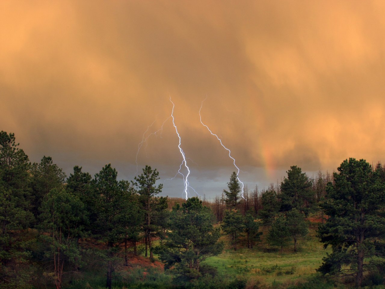 Обои лес, тучи, молния, forest, clouds, lightning разрешение 2560x1600 Загрузить