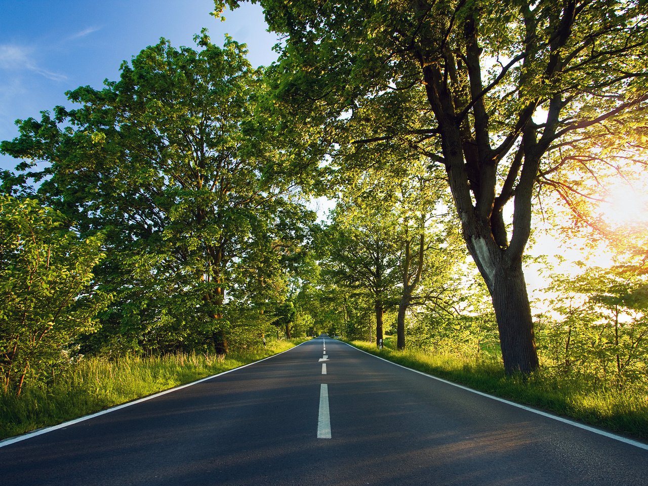 Обои дорога, деревья, солнце, зелёный, road, trees, the sun, green разрешение 2560x1600 Загрузить